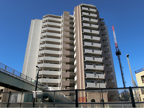 ヴィーナ・パルテールの写真 17枚目