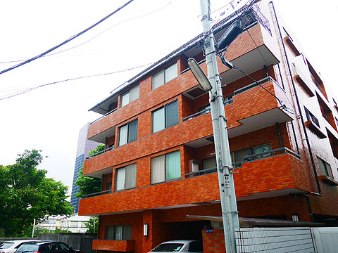 テラス三田の写真 11枚目