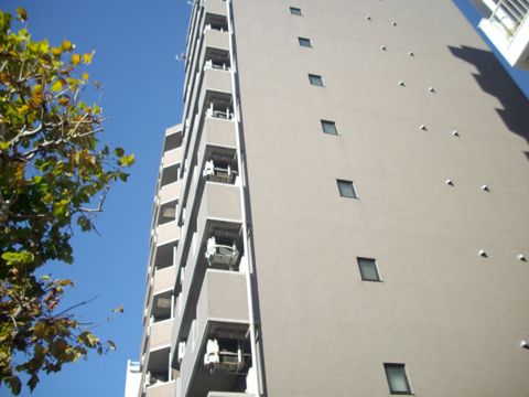 シンシア早稲田の写真 12枚目