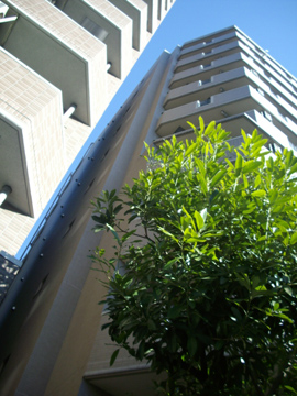 シンシア早稲田の写真 14枚目