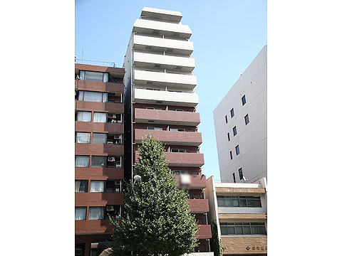 ステージファースト南麻布の写真 4枚目