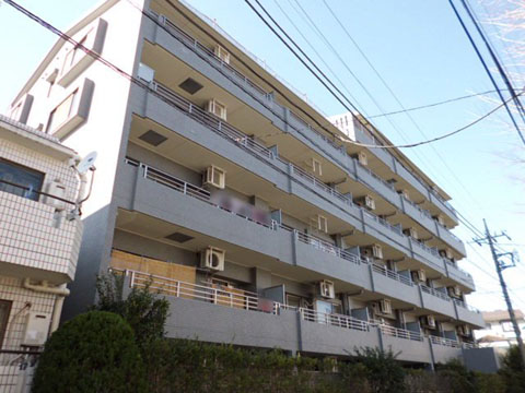 エスポワール田園調布の写真 12枚目