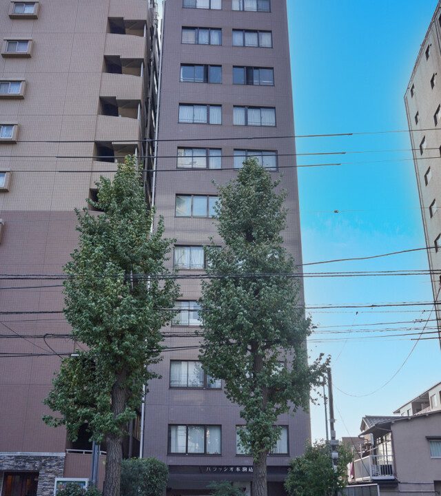 パラッシオ本駒込の写真 4枚目