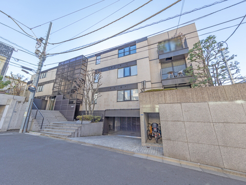 パレロワイヤル南麻布の写真 6枚目