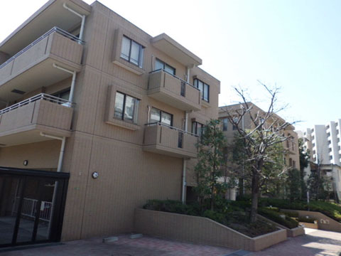 グランツオーベル等々力の写真 12枚目