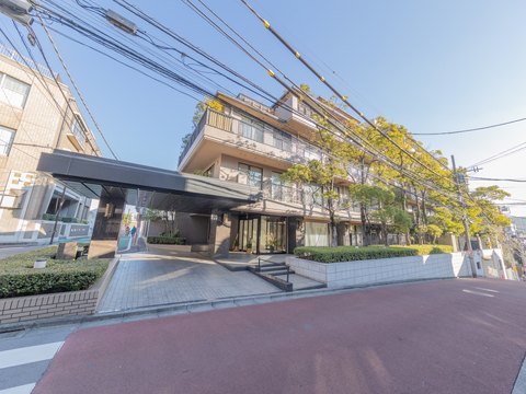 ドムス南麻布の写真 8枚目