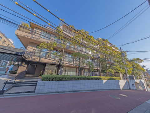 ドムス南麻布の写真 10枚目