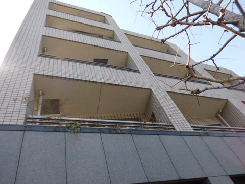 アーバンパレス等々力の写真 12枚目