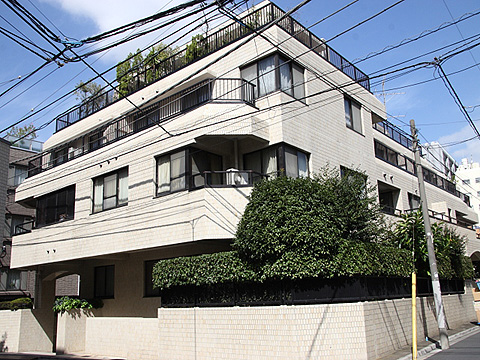 青山ロイヤルフラットの写真 7枚目