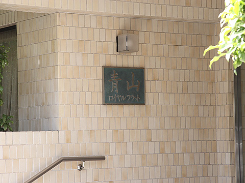 青山ロイヤルフラットの写真 11枚目