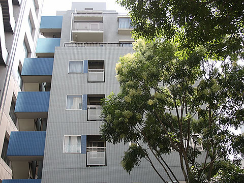 イトーピア白金ステーションプラザの写真 13枚目