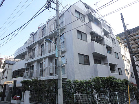 ワールドパレス本駒込の写真 12枚目