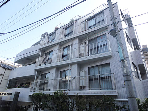 ワールドパレス本駒込の写真 13枚目