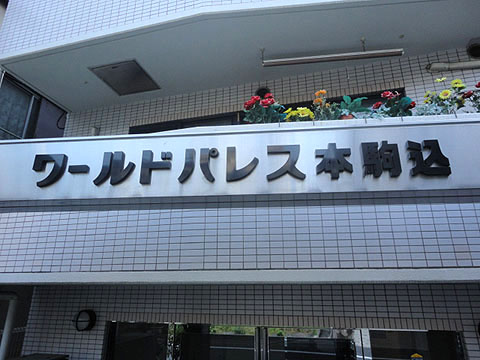 ワールドパレス本駒込の写真 16枚目