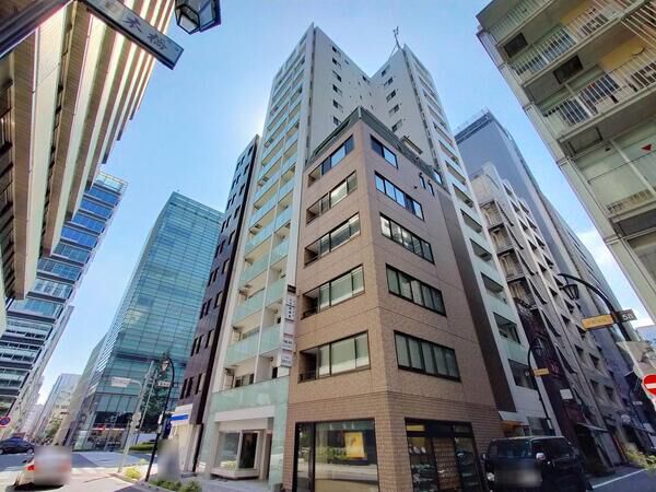 日本橋八重洲デュープレックスポーションの写真 3枚目