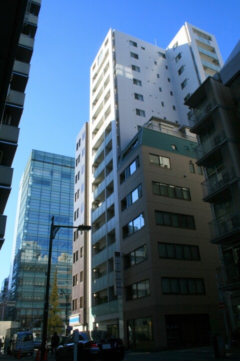 日本橋八重洲デュープレックスポーションの写真 6枚目