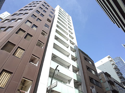 日本橋八重洲デュープレックスポーションの写真 11枚目