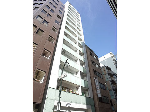 日本橋八重洲デュープレックスポーションの写真 13枚目