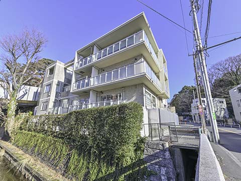 ＳＥＴＡＨＡＵＳの写真 5枚目