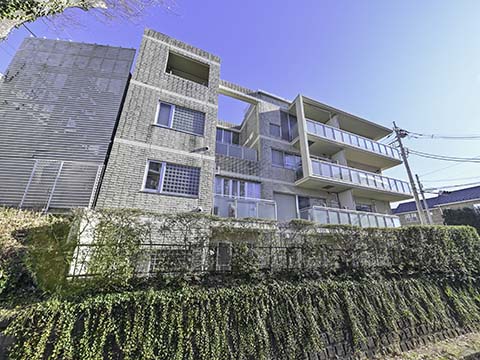 ＳＥＴＡＨＡＵＳの写真 6枚目