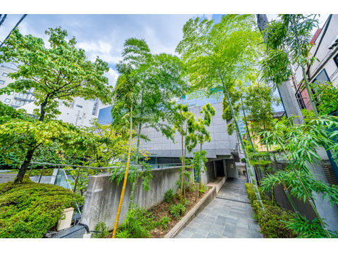 ディアプラザ赤坂の写真 9枚目