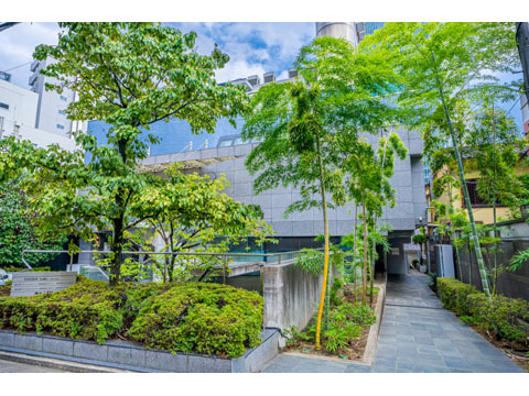 ディアプラザ赤坂の写真 10枚目