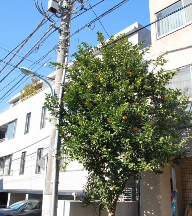 南青山アンクレーの写真 8枚目