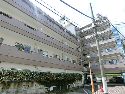 南青山コンドの写真 13枚目