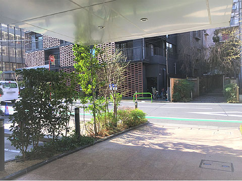 ザ・パークハウス赤坂レジデンスの写真 15枚目