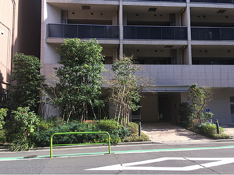 ザ・パークハウス赤坂レジデンスの写真 17枚目