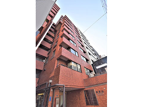 南青山ユニハイツの写真 19枚目