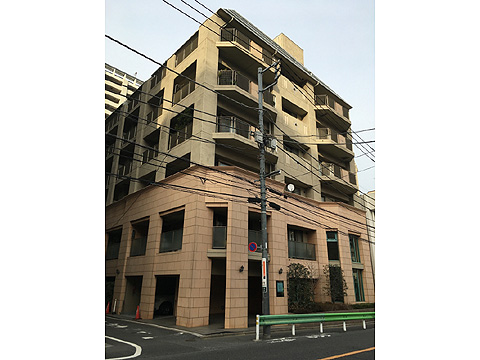 パロス白金の写真 14枚目