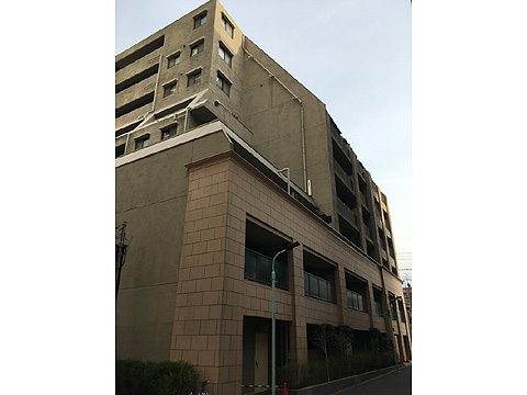 パロス白金の写真 15枚目