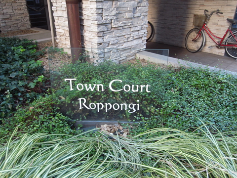 タウンコート六本木の写真 11枚目