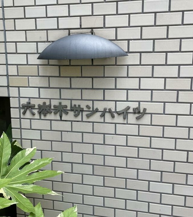 六本木サンハイツの写真 4枚目