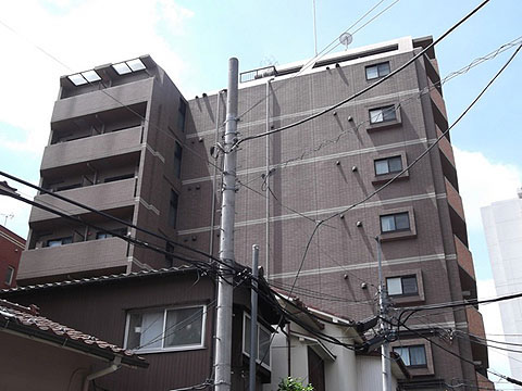 トーシンフェニックス松濤の写真 7枚目