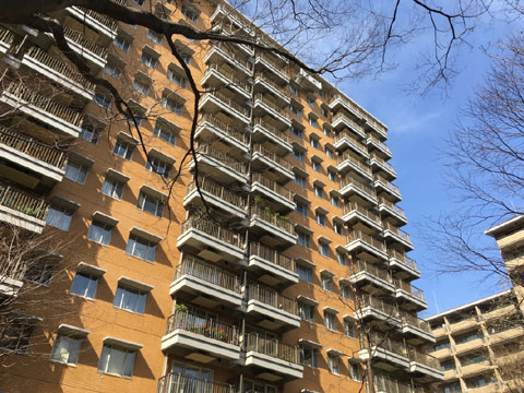 オープンレジデンス南青山イーストテラスの写真 17枚目