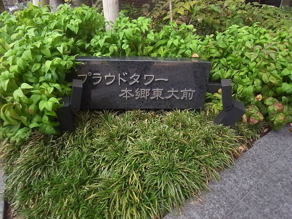プラウドタワー本郷東大前の写真 3枚目