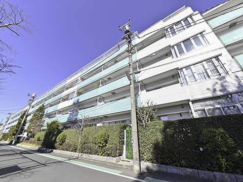 シティハウス成城センターコートの写真 10枚目