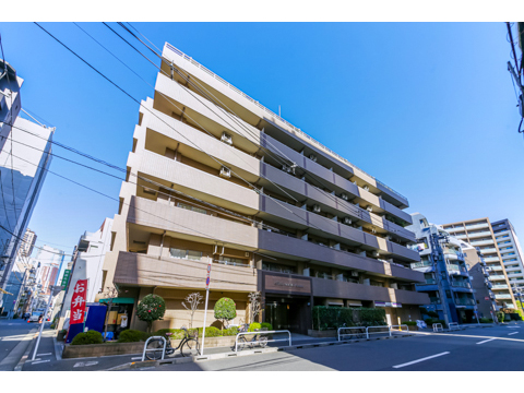 エフィーナ南麻布の写真 7枚目