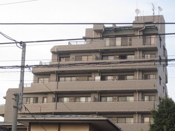 レックス上野毛の写真 6枚目