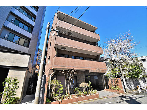 松濤ホームズの写真 4枚目