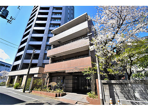 松濤ホームズの写真 9枚目