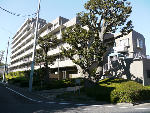 フォーリア駒沢公園パークサイドの写真 13枚目