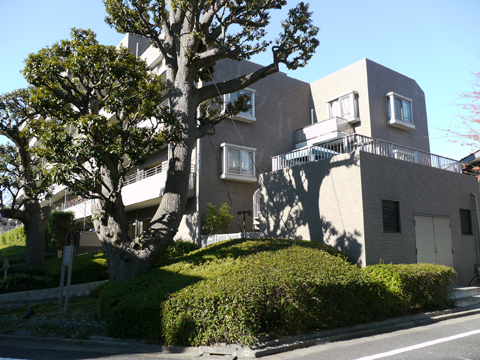 フォーリア駒沢公園パークサイドの写真 14枚目