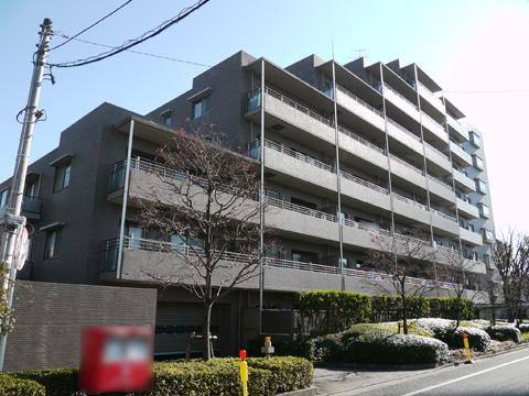 フォーリア駒沢公園パークサイドの写真 15枚目
