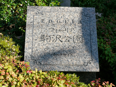 フォーリア駒沢公園パークサイドの写真 20枚目