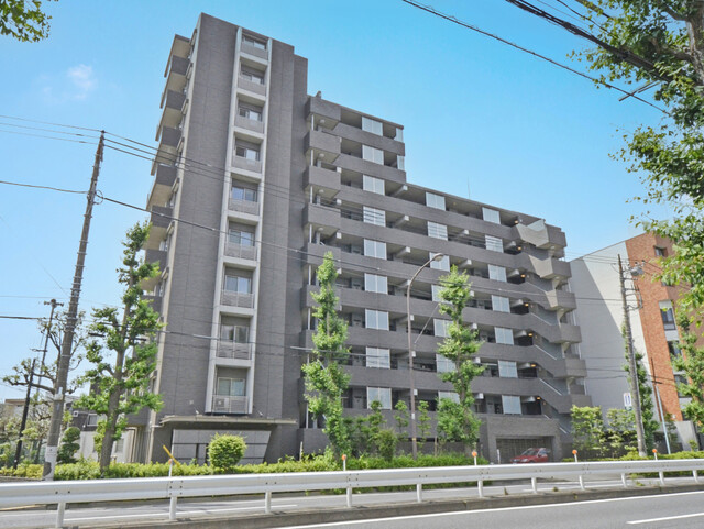 アピス等々力の外観写真 - 世田谷区等々力6丁目13番12号