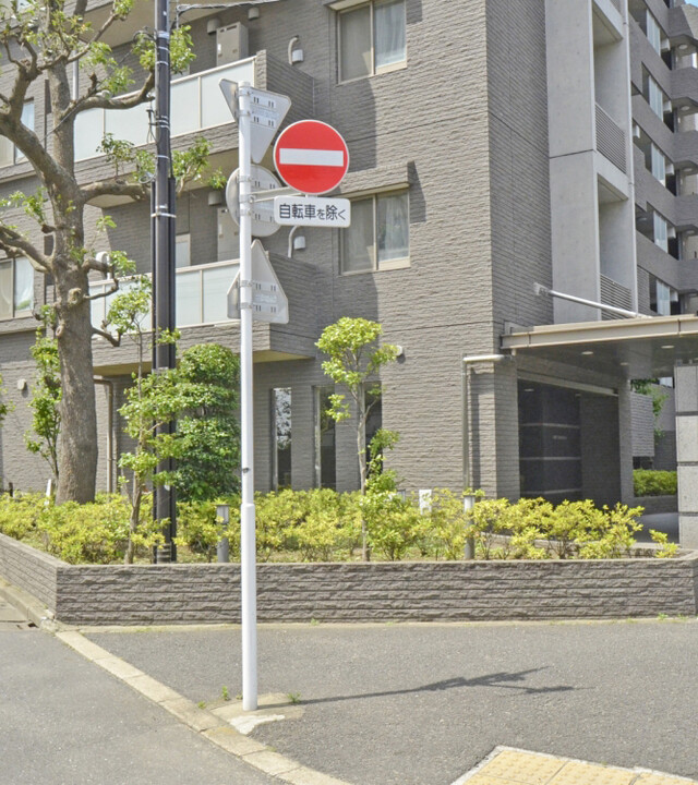 アピス等々力の写真 10枚目