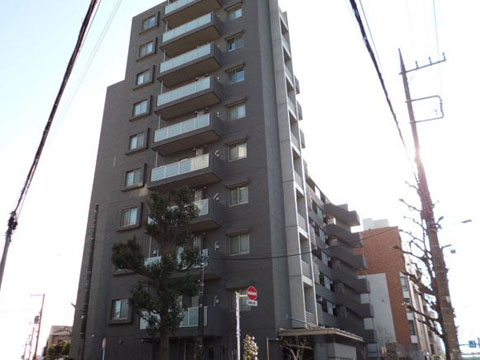 アピス等々力の写真 13枚目